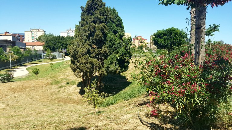 20250521_164210.jpg
