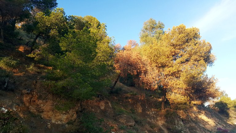 20241112_171241.jpg