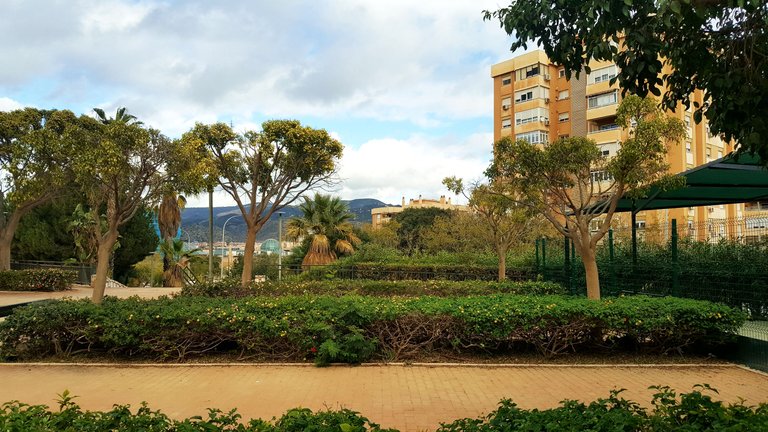 20230117_145806.jpg