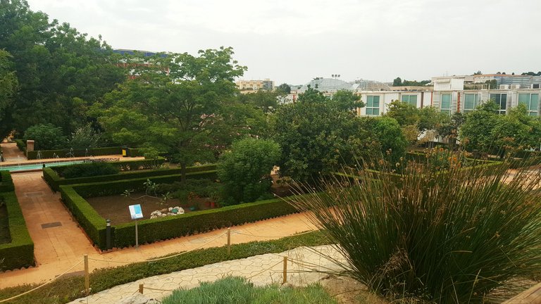 20250610_163245.jpg