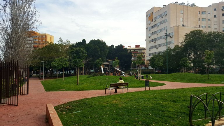 20250319_172649.jpg