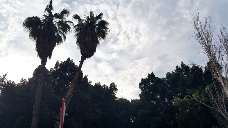 20250319_173745.jpg