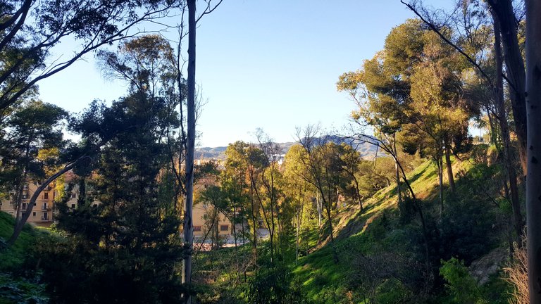 20250115_164410.jpg