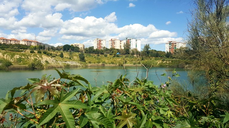 20250416_154802.jpg