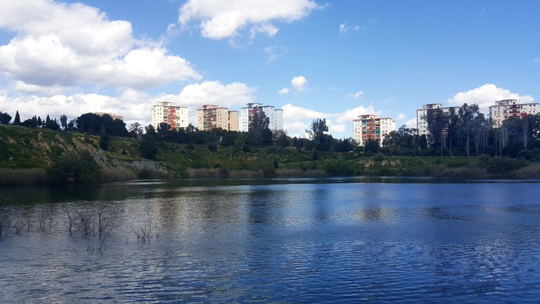 20250416_155445.jpg