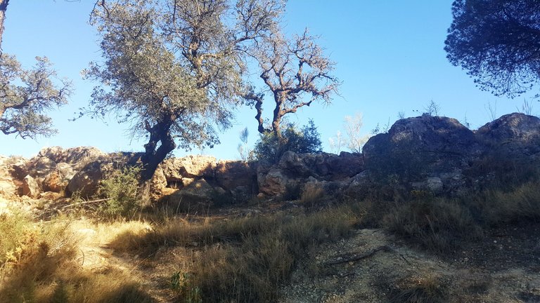 20230426_174146.jpg