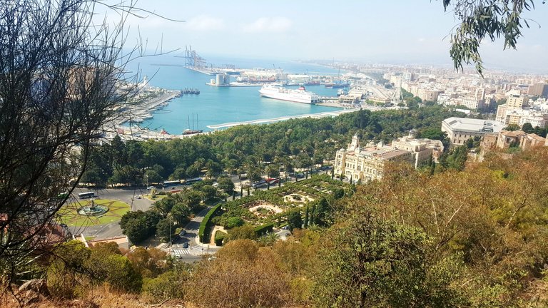 20180810_115304.jpg