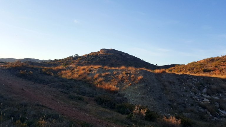 20230426_201212.jpg