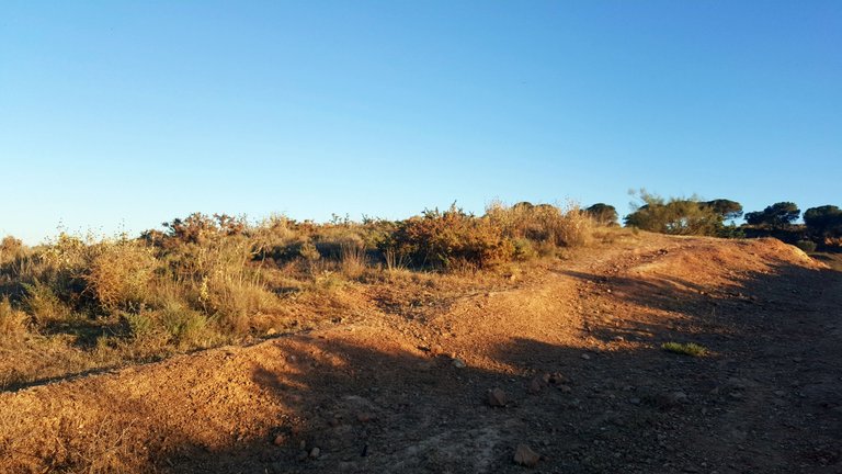 20230426_201208.jpg