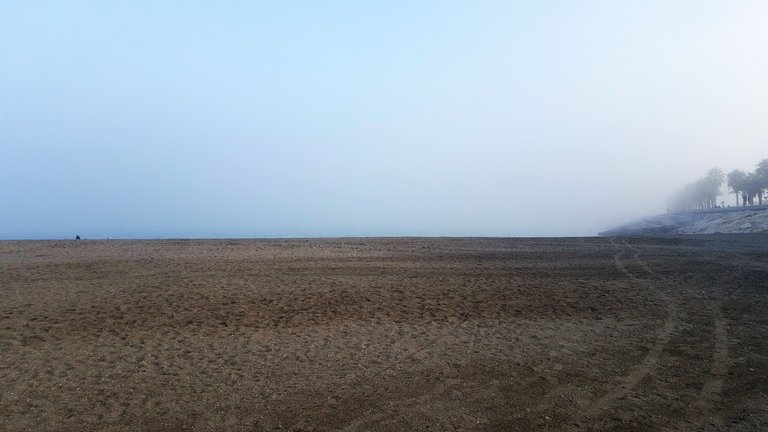 20231115_171841.jpg