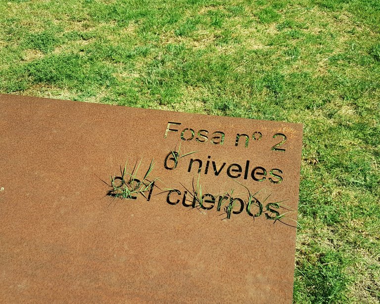 20250521_165712.jpg