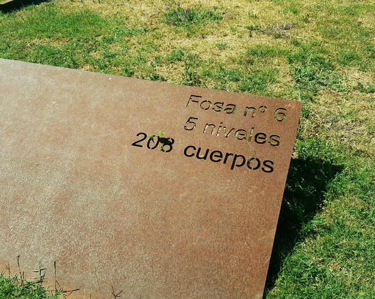 20250521_165512.jpg