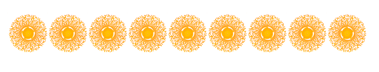 Searador soles.png