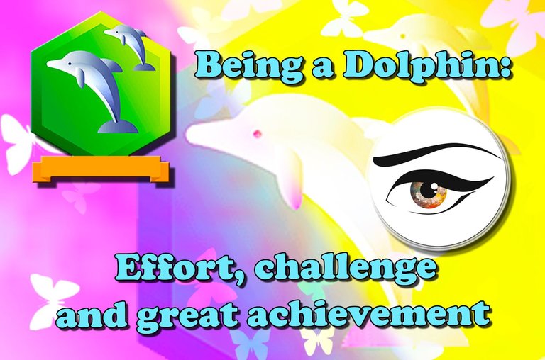 Being a Dolphin: effort, challenge and great achievement. 🐬
