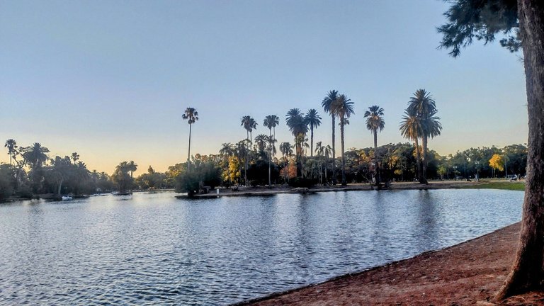 IMG_20241204_192941777_HDR~3.jpg