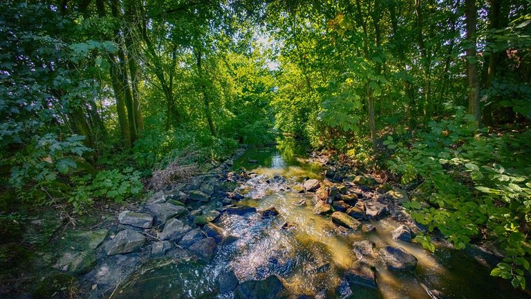 DJI_20250715125355_0041_D-1s.jpg