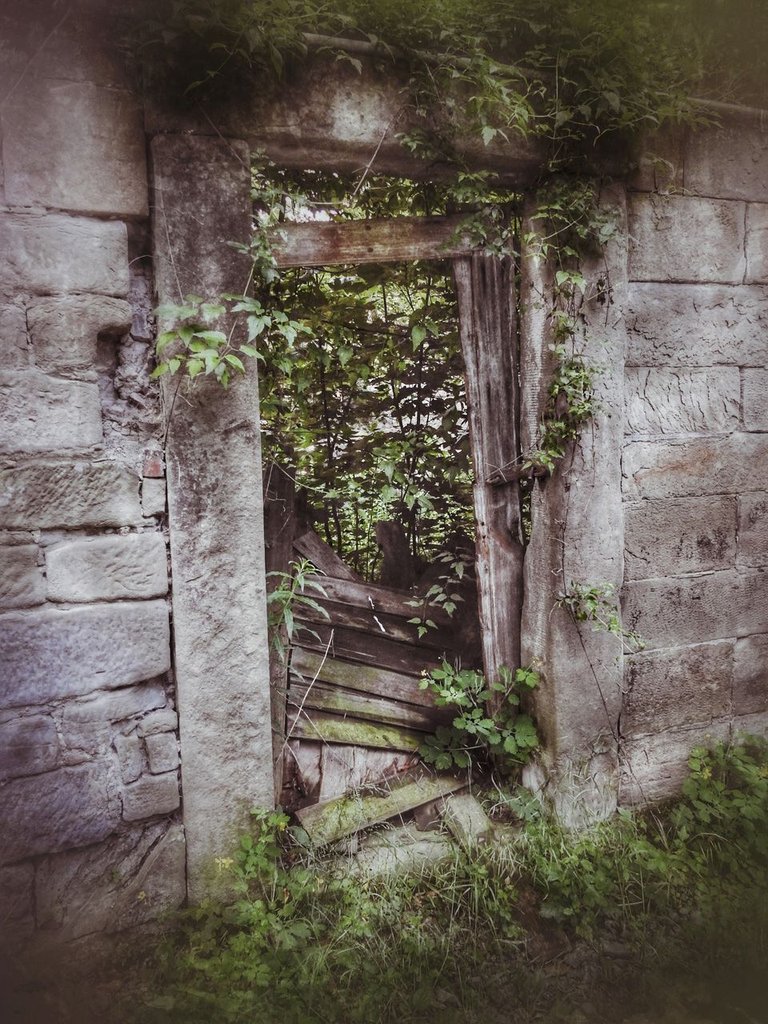3 DSCN7320-01bs.jpg