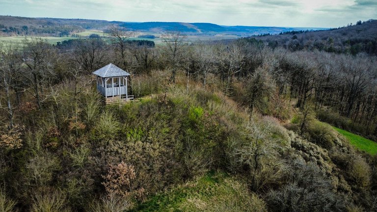 1 dji_fly_20250327_114106_130_1743072115648_photo_optimized_b.jpg