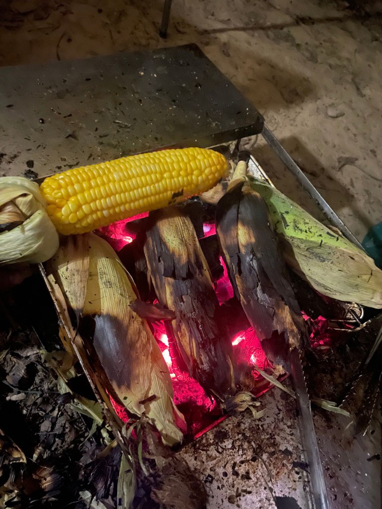 "the dark grilled corn"🤣