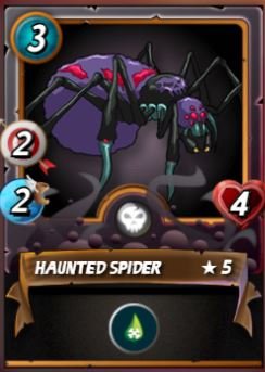 HAUNTED SPIDERS.JPG