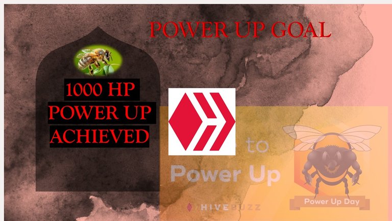 1000 HP POWER UP ACHIEVED.jpg