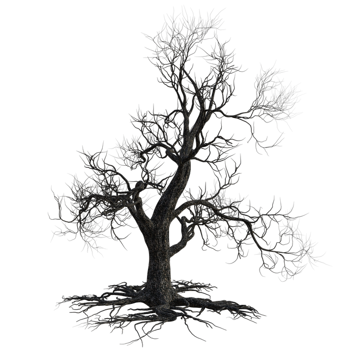 dead-tree-4567469_960_720.png