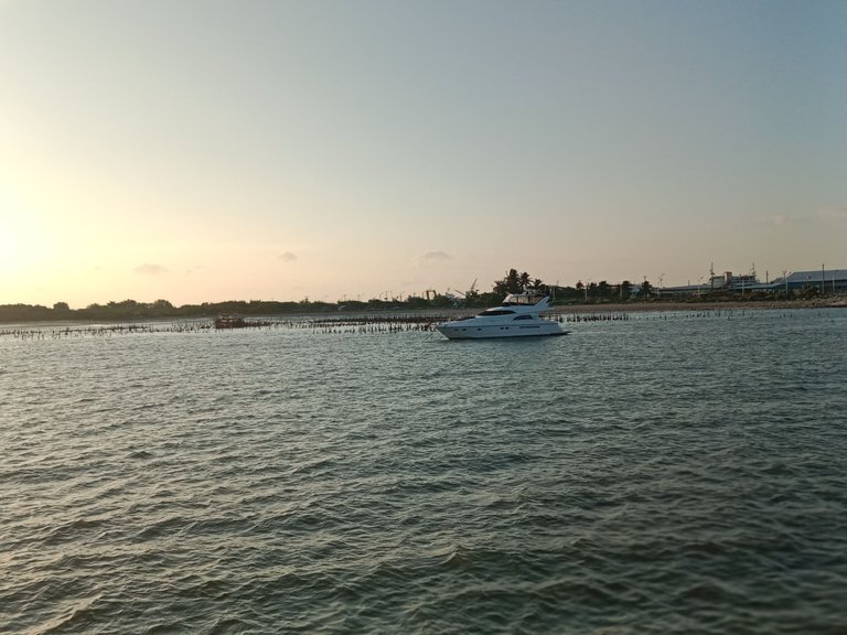 IMG_20250726_174110.jpg