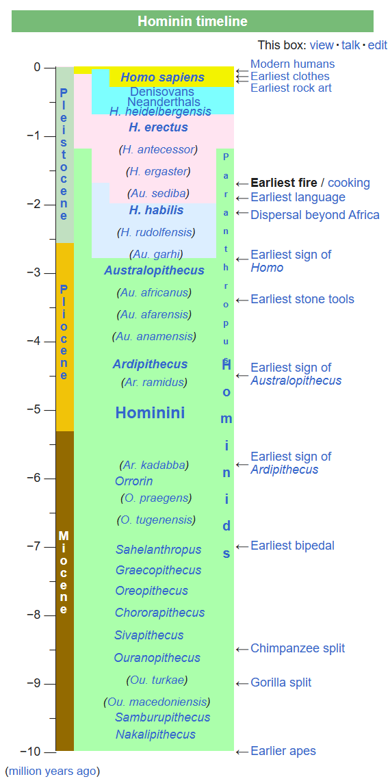 Human_Evolution.png