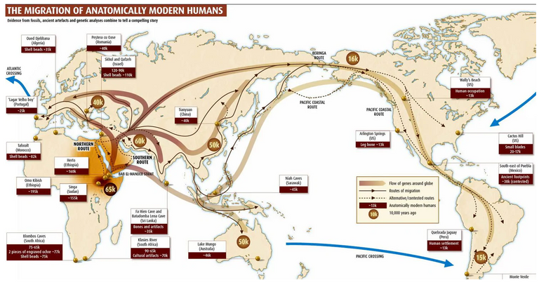 2_human_migration.PNG