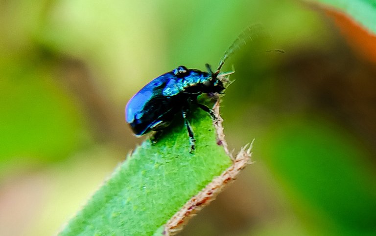 IMG20220107175947.jpg