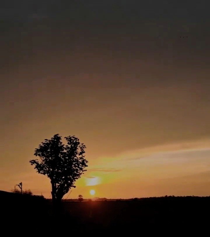 Screenshot_20230623-002319_Instagram.jpg