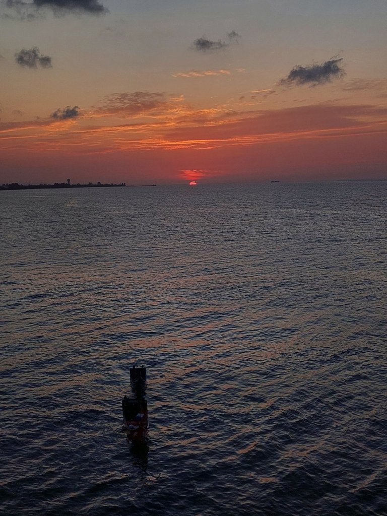 20230619_184456.jpg