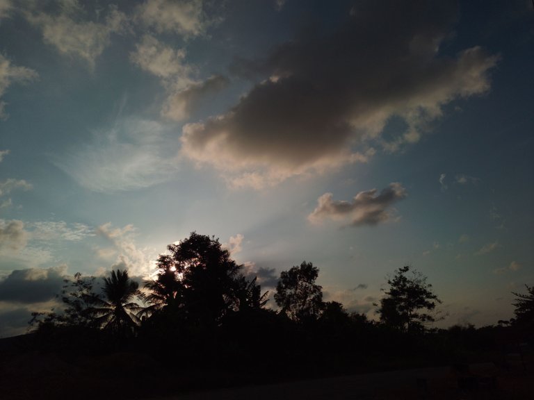 20230404_175443.jpg