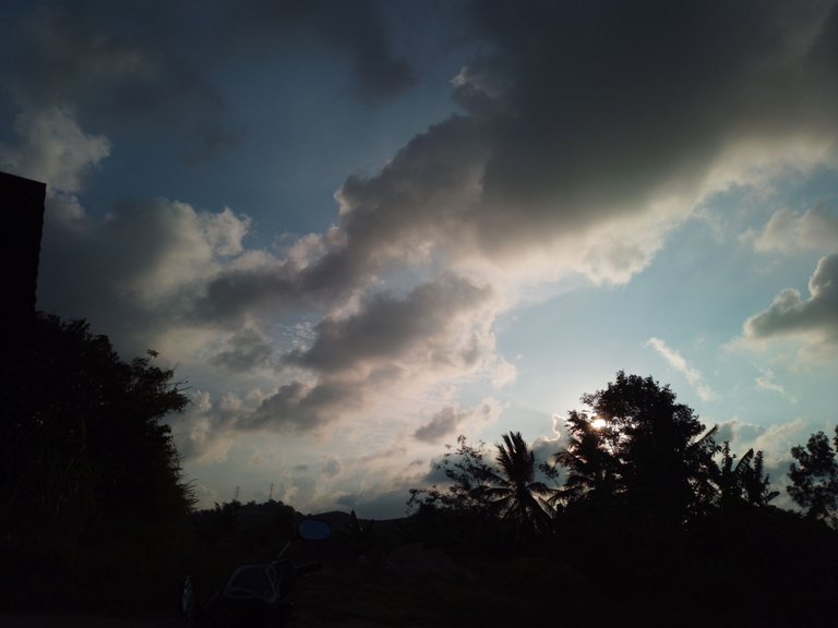 20230404_175230.jpg