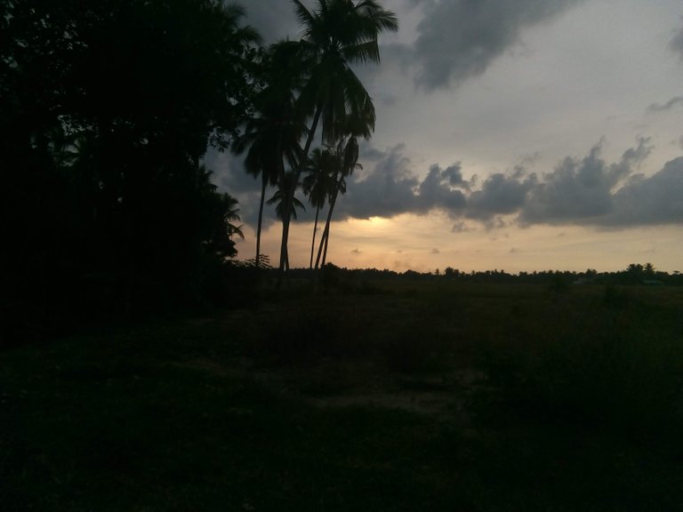 IMG_20180815_180622.jpg
