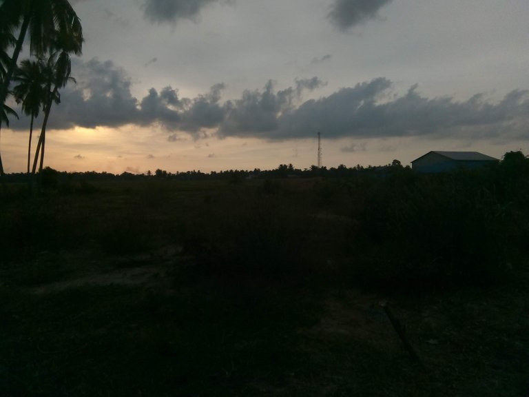 IMG_20180815_180544.jpg