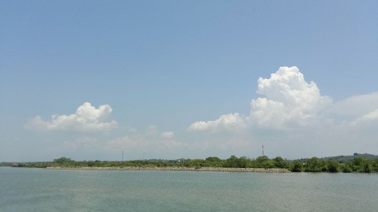 IMG_20240506_125557.jpg