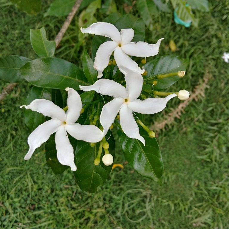 IMG_20230105_165049.jpg