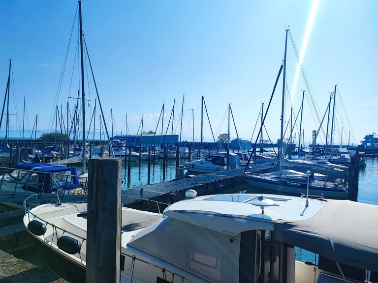 IMG_20240830_154821.jpg