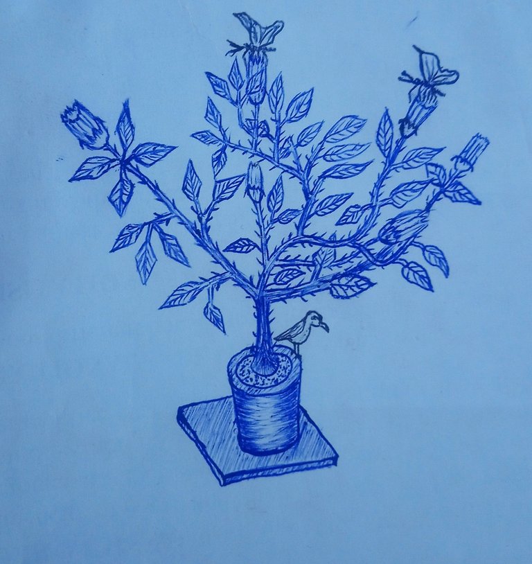 _20250416_174313.JPG