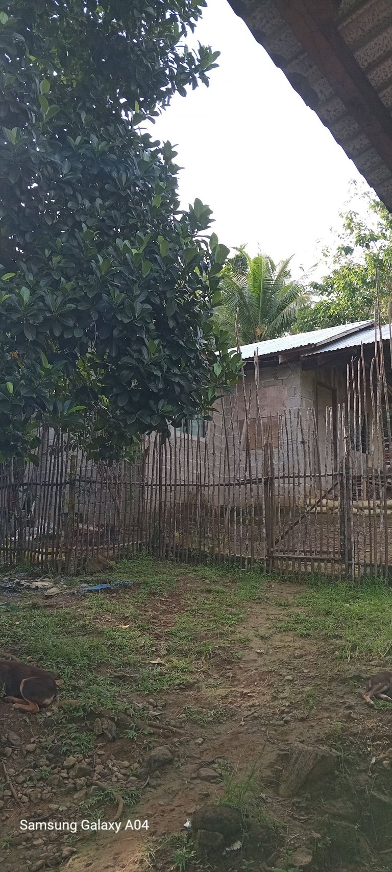 balay ni junas.jpg
