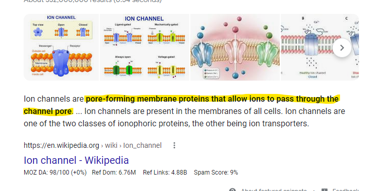 ion channels.png