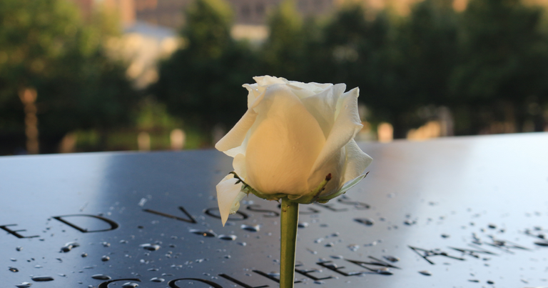 white flower grave.png