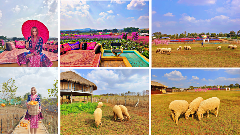 Brown Beige Aesthetic Hello Autumn Photo Collage Facebook Cover.png