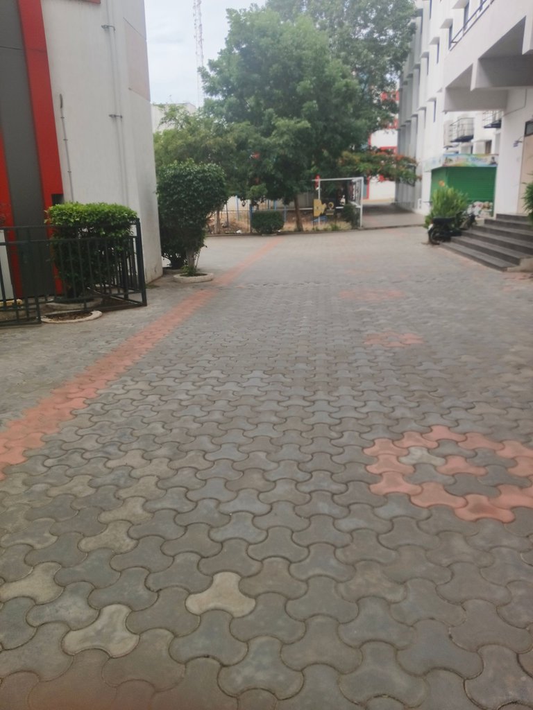 1000058401.jpg