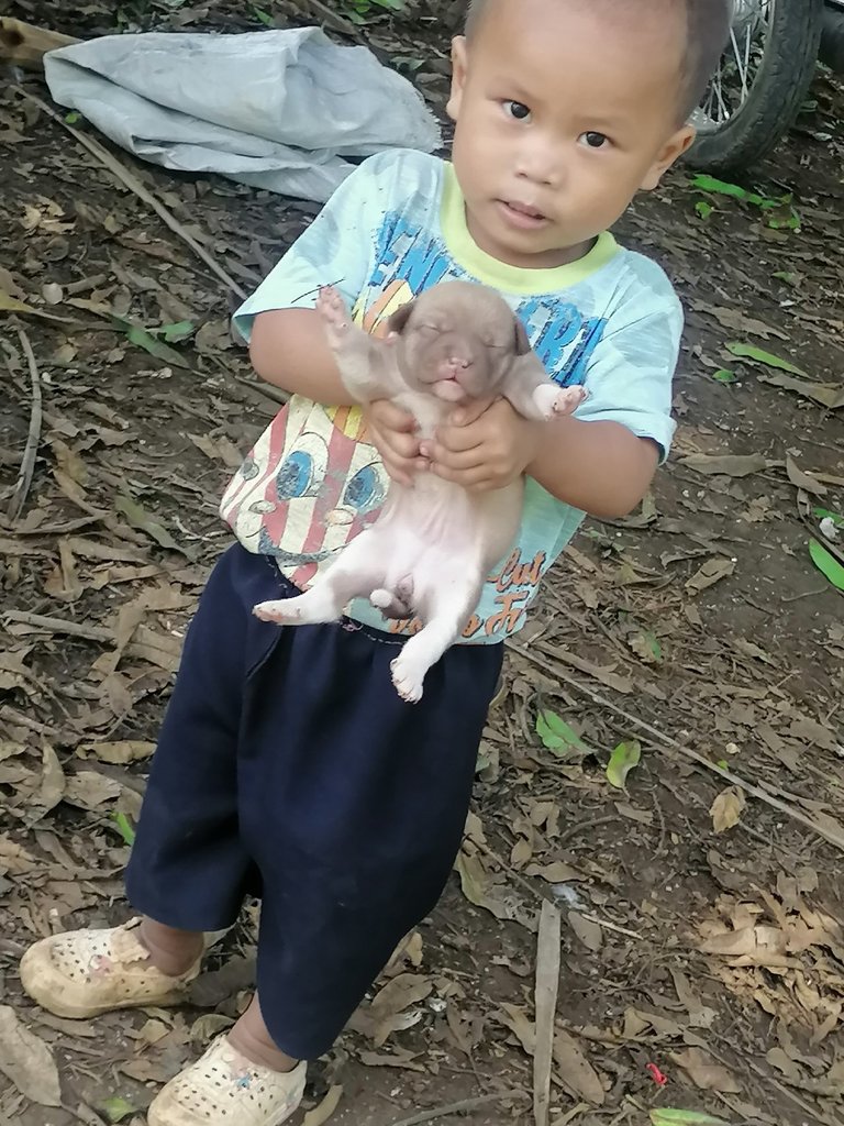 3jpR3paJ37V8XPrHkfZdMt57jY6pRt6zEt5iRJV9paYVE3p1YYGuroDbKc7mGUxDDMfwZvYP3C4kKTW4fHmb8sYkZD2y9Q7icZTgt8GyaEnUuY34V8mmax7rpXhHdzYR7S4ii.jpeg