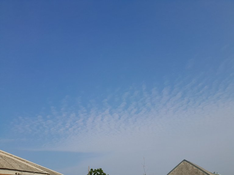 20240722_082218.jpg