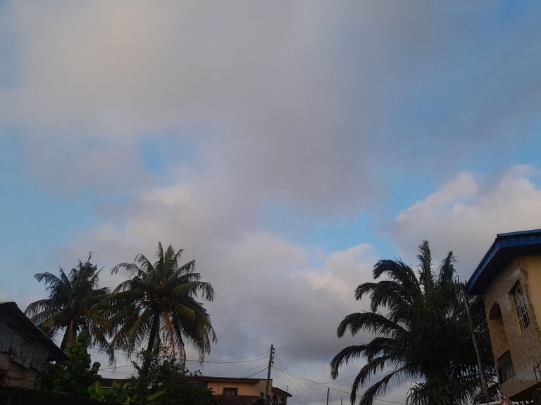 20240810_182738.jpg