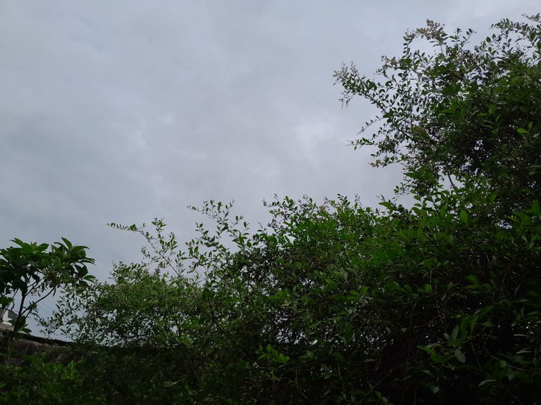 20240729_100031.jpg
