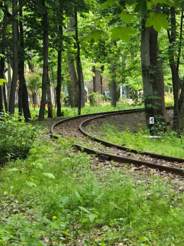 1000028848.jpg